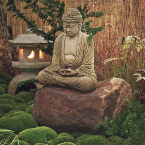 Lama Surya Das - Ep. 68 - The Buddha in Your Backyard with CJ Liu