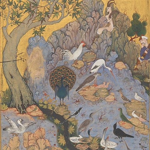 Omid Safi - Sufi Heart - Ep. 12 - The Conference of the Birds
