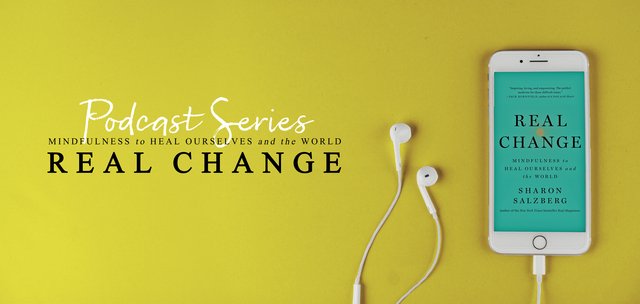This is the first episode of the Real Change Podcast series. In this conversation, Joshin and Sharon discuss some of the themes from her new book, Real Change, exploring the ways that meditation practice can inform social action. They discuss working with anger, pathological altruism, finding long term resilience and joy in activism, and working to find balance. To close the conversation, Joshin leads a ten-minute meditation practice on equanimity.
