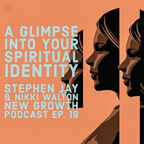 Author and spiritual teacher, Stephen Jay, joins Nikki to discuss the Infinite Way, Herb Fitch, Joel Goldsmith, and discovering your true identity by remembering who you are.