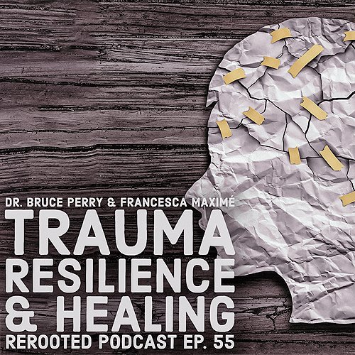 Dr. Bruce Perry is back with Francesca to explore how to overcome traumas, like rat race mindset, by healing through methodologies of inner reflection.