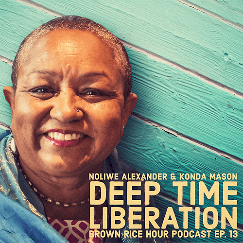 In this episode of the Brown Rice Hour, Konda Mason speaks with Noliwe Alexander about her work with two non-profit organizations, Peace At Any Pace and Deep Time Liberation.