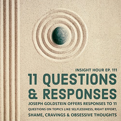 On episode 111 of the Insight Hour Podcast, Joseph Goldstein offers responses to 11 questions on topics such as selflessness, Right Effort, shame, cravings, and obsessive thoughts.
