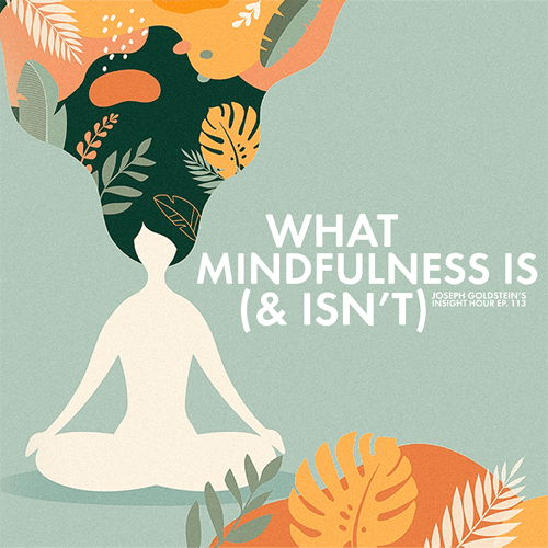 Joseph Goldstein breaks down what mindfulness is (and isn’t), gives us tools for going from recognition to mindfulness, and explores what we can learn from being mindful.