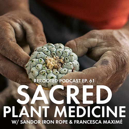 Francesca Maximé and Sandor Iron Rope talk about the need for mindfulness and awareness around the use of sacred plant medicine in the psychedelic decriminalization movement.