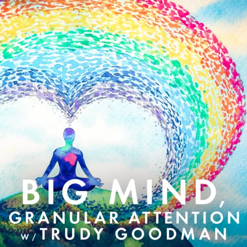 From Big Mind to granular attention, Trudy Goodman illuminates how to live simultaneously from universal and personal truths, staying present with it all.
