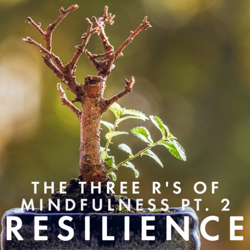 Investigating resilience as a factor of mindfulness, David Nichtern & Michael Kammers offer tangible thought experiments for uncovering our relationship with attention.