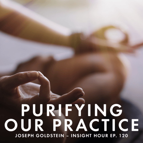 Joseph Goldstein shares his wisdom on purifying our practice through openness to suffering and being compassionate. 