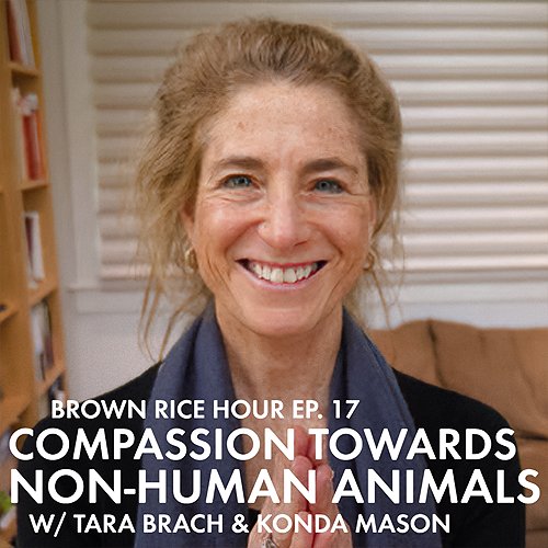Konda Mason and Tara Brach join forces to bring awareness to the treatment of non-human animals, and talk about how we can attend to this crucial domain of compassion. 