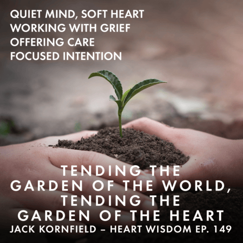 Jack Kornfield reflects on dynamic Buddhist stories highlighting how we can tend the garden of the world by tending to the garden of our heart.