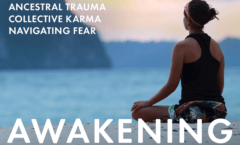 From the heart of a retreat, Spring Washam shares some of her insights about awakening and the mind-body connection.