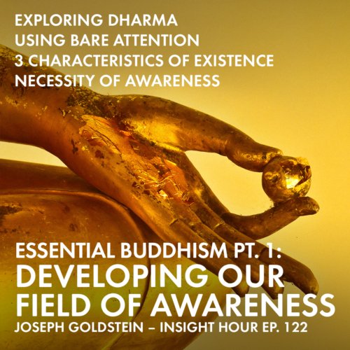 In this talk from 1974 at Naropa University, Joseph Goldstein gets into the essentials of Buddhism. He lectures about dharma, insight meditation, and developing our field of awareness.