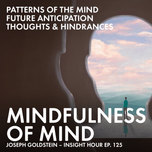 In this recording from the Insight Meditation Society, Joseph Goldstein focuses on the third foundation of mindfulness: the mindfulness of mind.