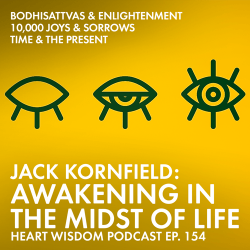 Jack Kornfield offers wisdom on awakening in the midst of life, sharing insight on navigating life's joys and sorrows with a fearless heart.