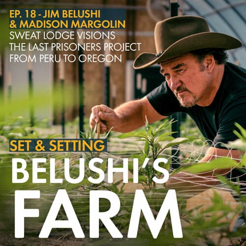 Madison Margolin and Jim Belushi connect for a conversation on how plant medicine can change the trajectory of our lives.