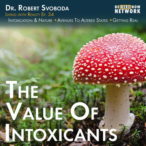 This time on Living with Reality, Dr. Robert Svoboda lectures on the value of intoxicants and the natural urge to seek altered states.