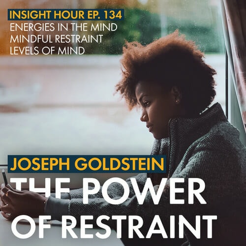 In this dharma talk, Joseph Goldstein explores how the power of restraint can help create the space and softness in ourselves to manifest a deeper level of wisdom, compassion, and love.