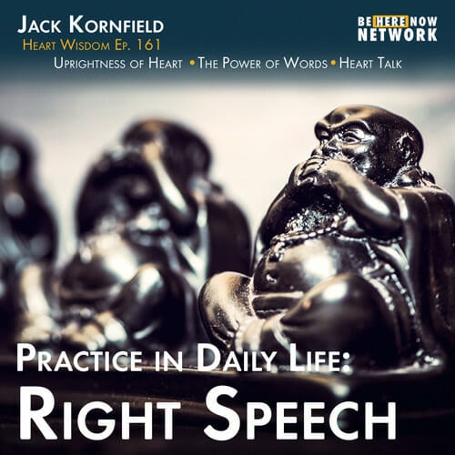 Jack Kornfield continues his series of talks on practice in daily life by focusing on uprightness of heart, Right Speech, and how we can learn to let our words come more directly from our heart.
