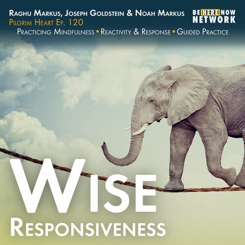 Joseph Goldstein joins Raghu and Noah for a discussion on moving from the polarization of reactivity to the wise responsiveness of compassion.